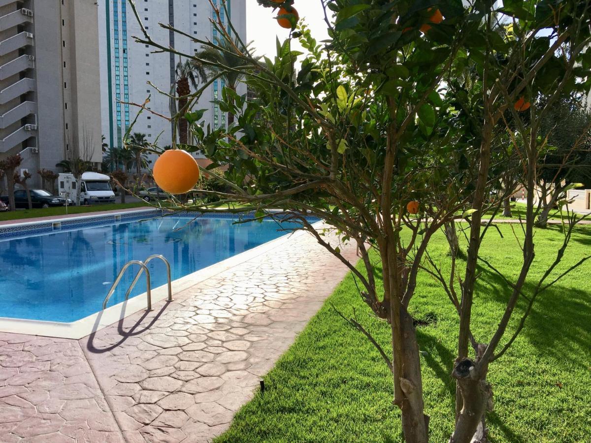 Beach Studio Apartment Hannibal La Cala Finestrat 貝尼多姆 外观 照片