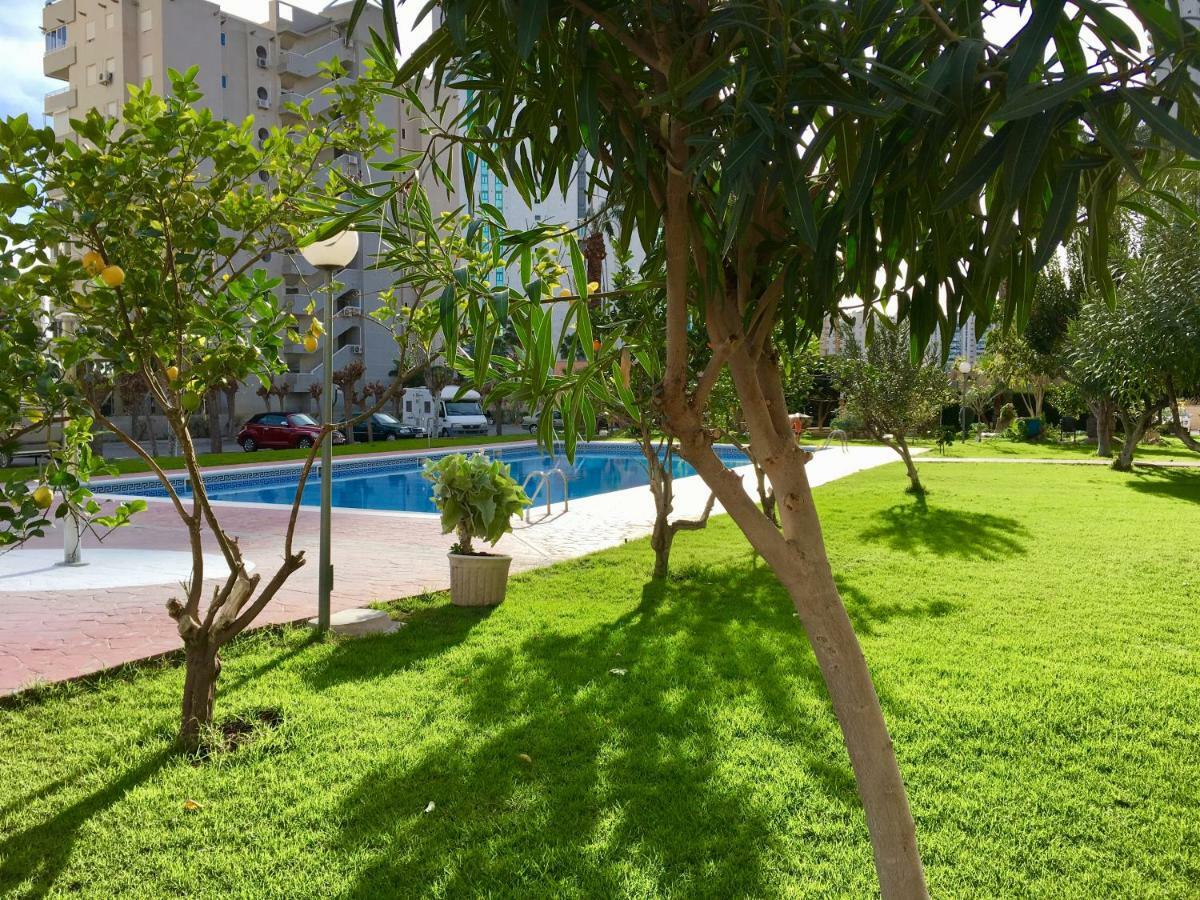 Beach Studio Apartment Hannibal La Cala Finestrat 貝尼多姆 外观 照片